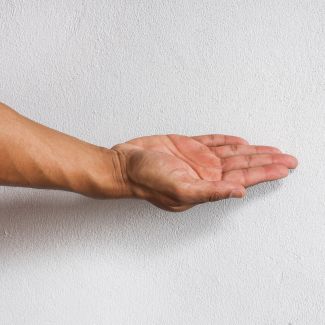 What you need to know about moisture and substrates