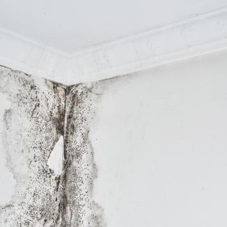 Water damage to tiled surfaces!
